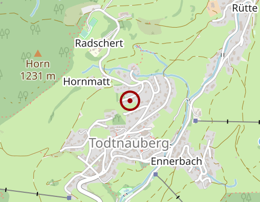 Karte: Lung Ursula Dr.med.