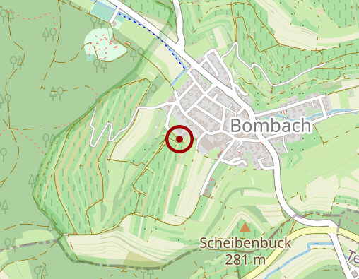 Karte: Steiert Bettina