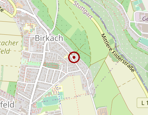 Karte: Pflüger Steffen Praxis für Physiotherapie