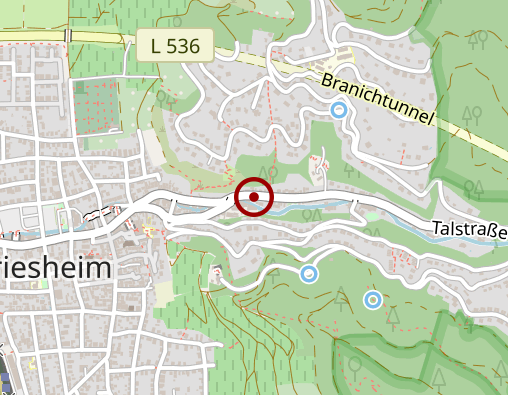 Karte: Pflegedienst I&N Edelweis kids GmbH