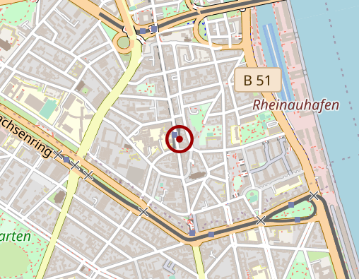 Karte: Ambulanter Pflegedienst am Rhing