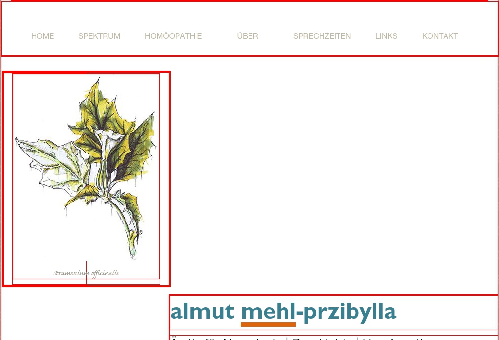 Mehl-Przibylla Almut