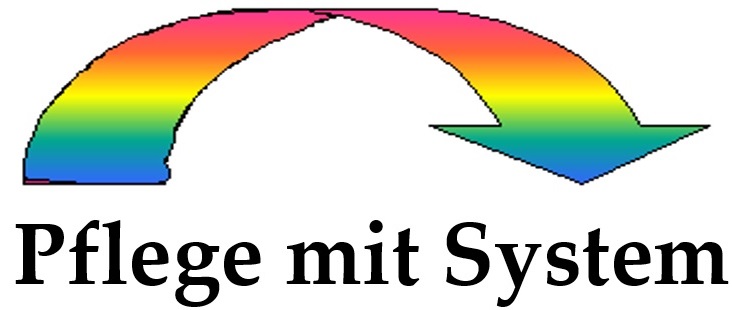 Logo: Pflege mit System Edeltraud Kullmann