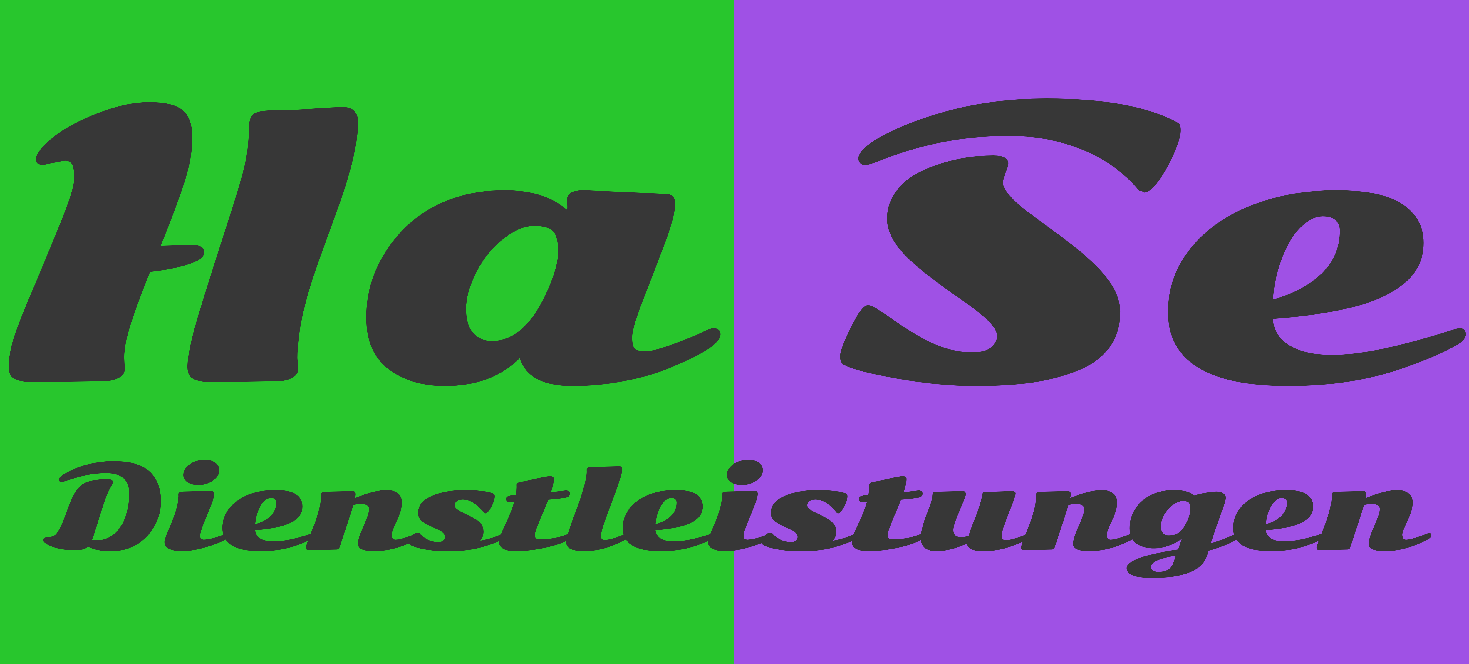 Logo: HaSe Dienstleistungen