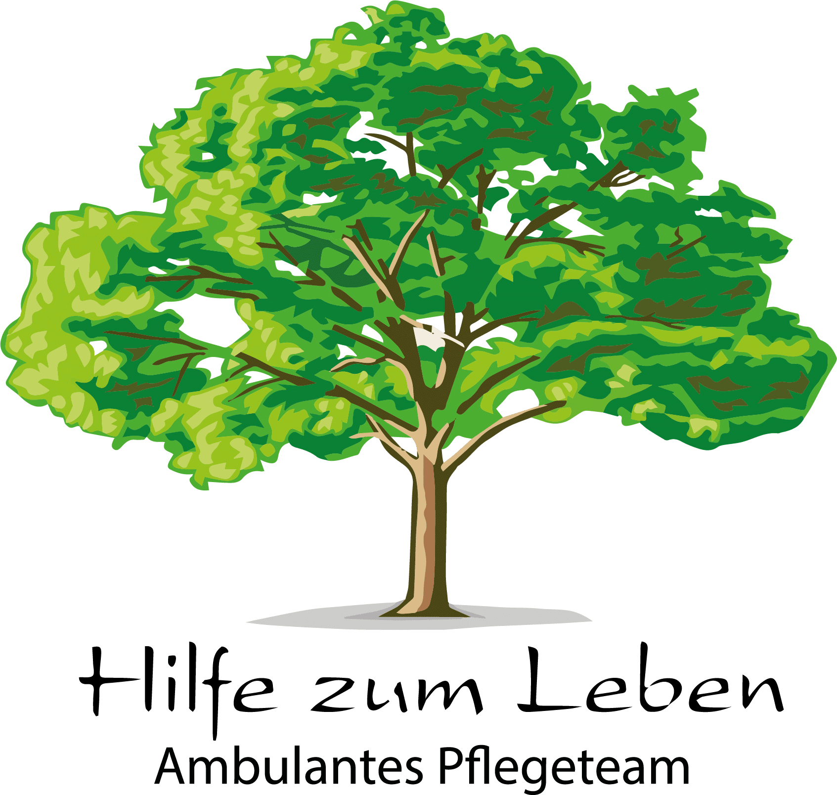 Logo: Pflegeteam Hilfe zum Leben